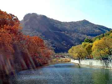 澳门二四六天天彩图库，都市重生